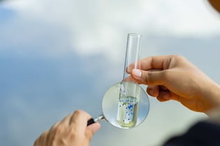 AdobeStock_888052787