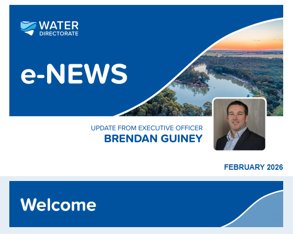 Screenshot E-news Feb 2026