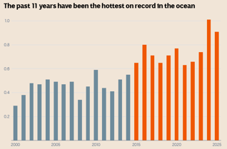 Screenshot 2025-10-14 205539