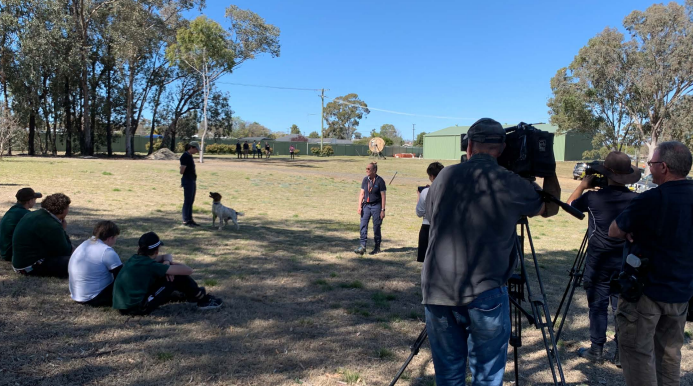 Screenshot 2025-11-17 130401