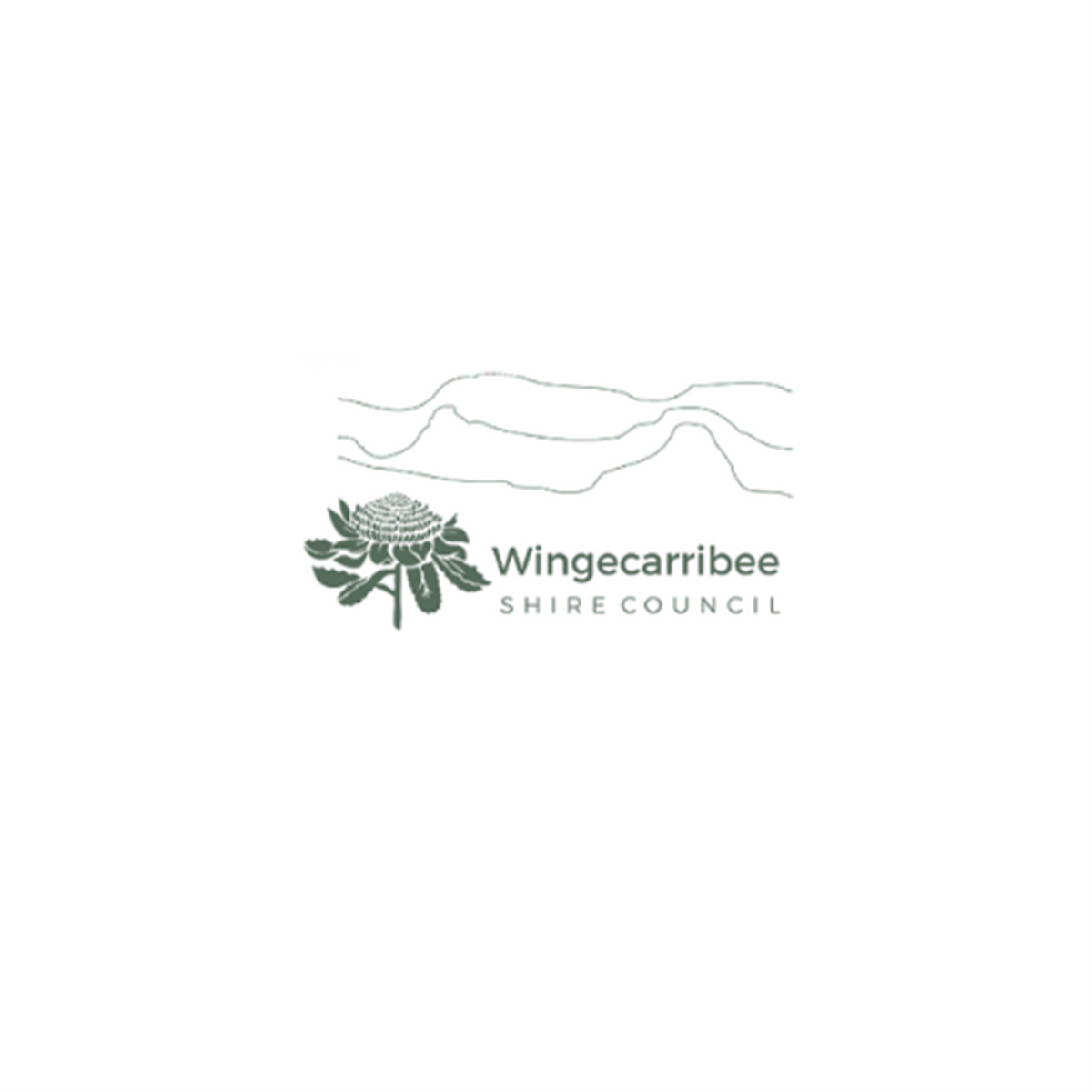 wingecarribee-shire-council