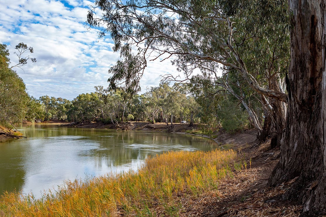 wsp-river-murray