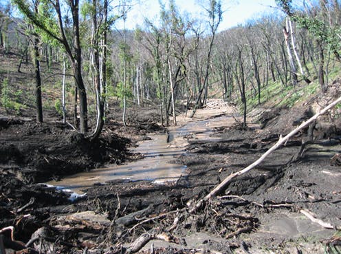 bushfires